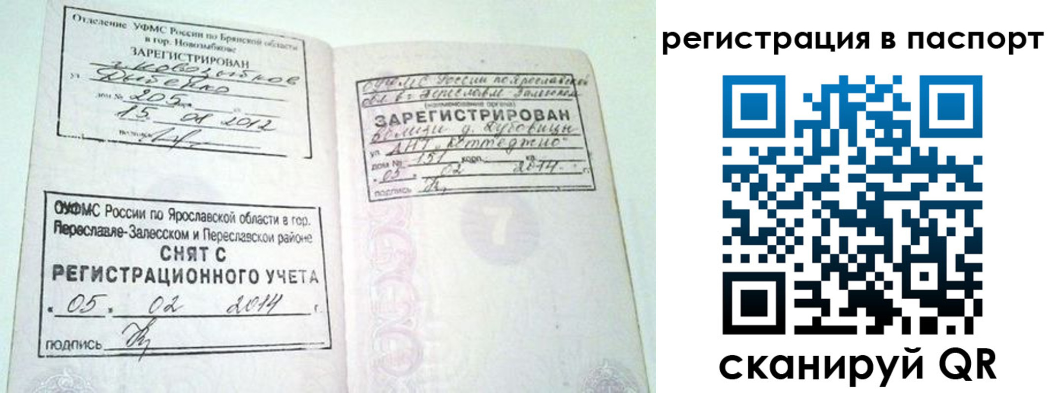 прописка в квартире в Камышине