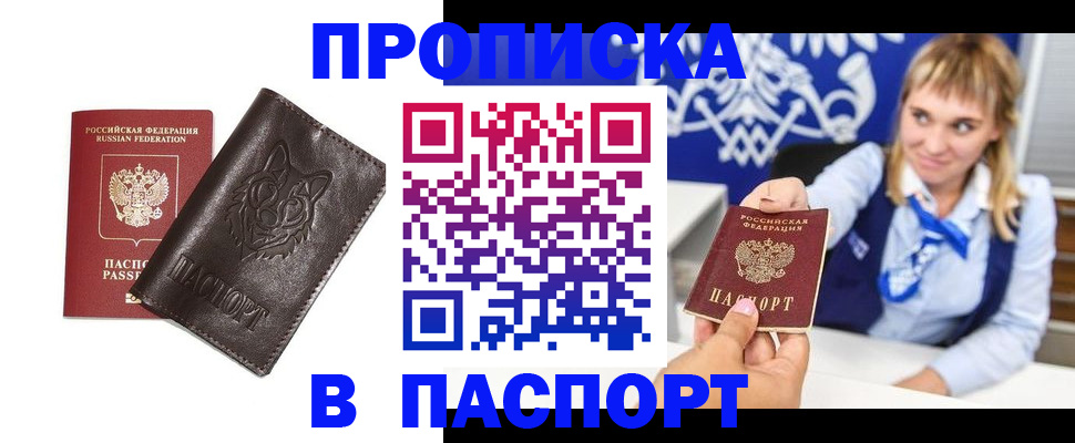 где прописаться в Камышине